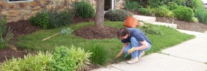 Property Workday