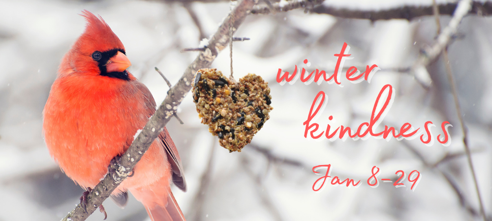 Winter Kindness