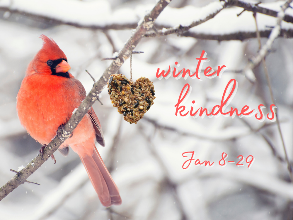 Winter Kindness